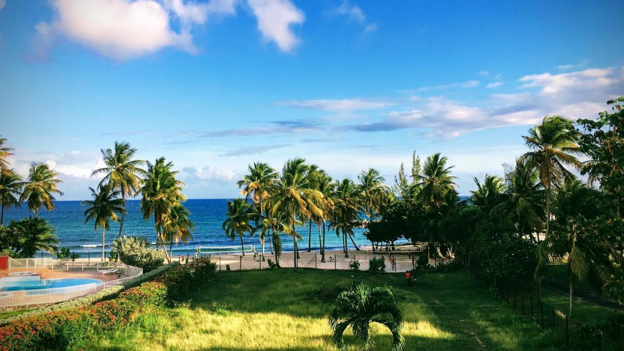 Studio Vue Mer Le Gosier Sans Coupure D'Eau Exterior foto